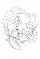 Pencil Bergsma Coloriages Zeichnen Carving Eichhörnchen Tattoo Vari Vk Volwassenen Woodburning Kleurplaat Antistress Fuchs Jody Waldtiere Schablone Aquarell Tier Zeichen sketch template