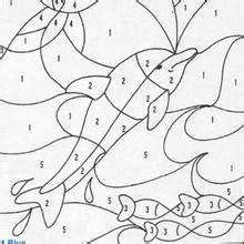 dolphin color  number coloring page print   color  dolphin