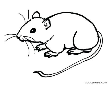 cute mouse coloring page  getdrawings