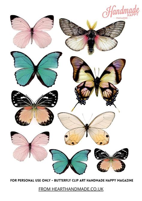 printable butterfly clipart pages   butterfly clip art