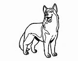 Wolfdog Coloring Pages Coloringcrew Colorear Dogs sketch template