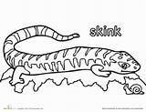 Blue Tongue Coloring Skink Lizard 81kb 232px sketch template