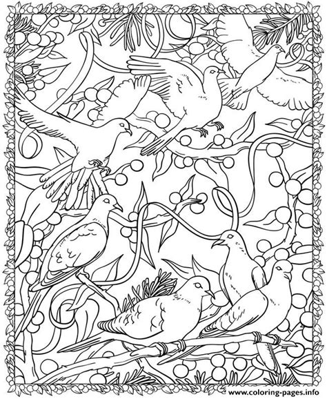 christmas bird coloring pages super duper coloring