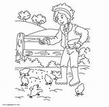 Farm Fazenda Kolorowanki Praca Farmie Farmer Boerderij Malowanki Druku Feeding Chickens Pintarcolorir Gospodarstwie Kleurplaten sketch template