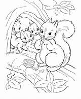 Coloring Pages Nocturnal Animals Getcolorings Wild Animal Printable sketch template