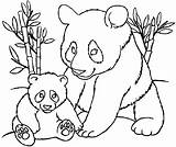 Pandas Enfants Colorier Colorare Coloriages Prints sketch template
