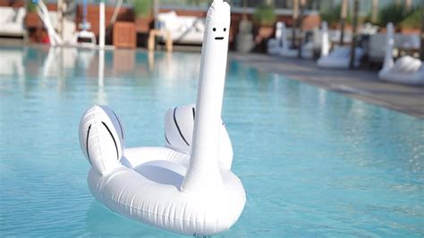 Ridiculous Inflatable Swan Thing Pool Float Is Ridiculously Cute Mashable