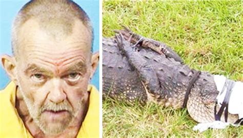 59 year old man arrested for having sex with an alligator aurora cup