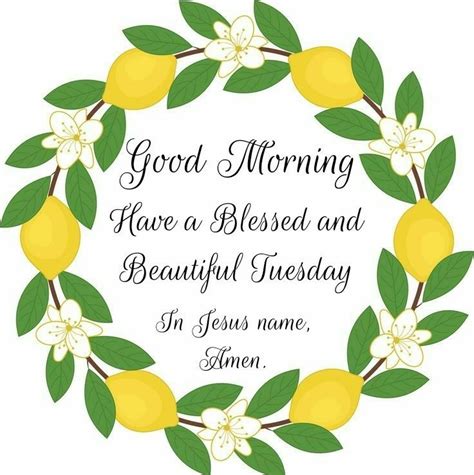 Beautiful Tuesday Good Morning Prayer Morning Prayers