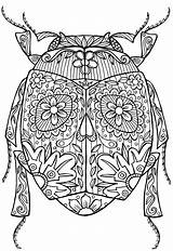 Coloring Pages Insect Adult Colouring Adults Mandala Printable Bug Insects Abstract Beetle Advanced Zentangle Detailed Bugs Doodle Kleuren Volwassenen Voor sketch template