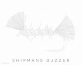 Fly Coloring Book Flies Fishing Andy Steer Flyfishing Ordered Through Amazon sketch template