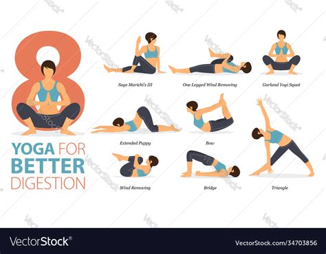 yoga poses   digestion infographic vector image