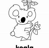 Koala Line Cute Drawing Coloring Baby Pages Cartoon Getdrawings Clipartmag sketch template