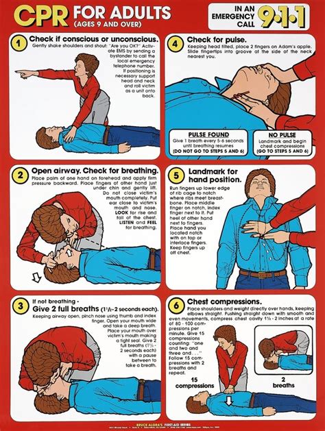 images  adult cpr  aid program  pinterest