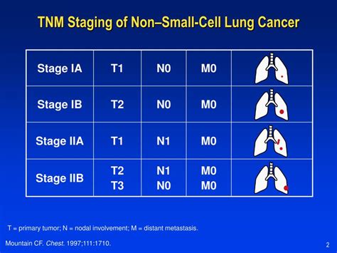 Ppt Non–small Cell Lung Cancer Diagnosis And Staging Powerpoint