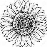 Sunflower Outline Svg Sonnenblume Girassol Weiß Dxf Eps Getdrawings Printable Weiss Blume Clipartmag Imagens Harunmudak Theheretic sketch template