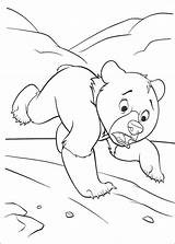 Bear Coloring Brother Pages Koda Running Disney Little Walt Fanpop Characters Cartoon Printable Ours Colorier Tweet Des Categories sketch template