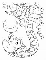 Snake Coloring Pages Year Kids sketch template