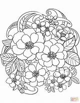 Coloring Pages Flowers Blooming Printable sketch template