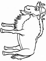 Coloring Pages Animals Wildebeest sketch template