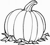 Pumpkin Simple Drawing Coloring Printable Pages Clipartmag sketch template