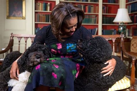Bo And Sunny Obama Will Have Their People Call Your People