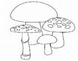 Mushroom Coloringcrew sketch template