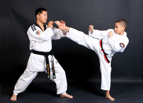 Tae Kwon Do Wtf Martial Arts Taekwondo