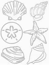 Coloring Pages Shells Beach Sea Preschool Ocean Kids Printable Seashore Animals Craft Shell Seashell Collage Crafts Summer Print Animal Sheets sketch template
