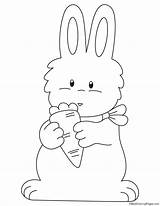 Rabbit Carrot Enjoying Coloring sketch template