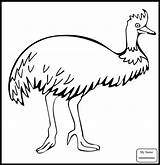 Emu Cassowary Designlooter sketch template