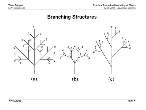 simple branching strategy part    basics