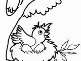 Nest Bird Drawing Coloring Pages Clipartmag sketch template