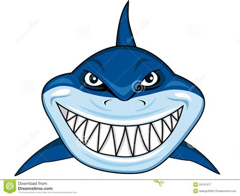 cartoon  shark images pictures moyuk