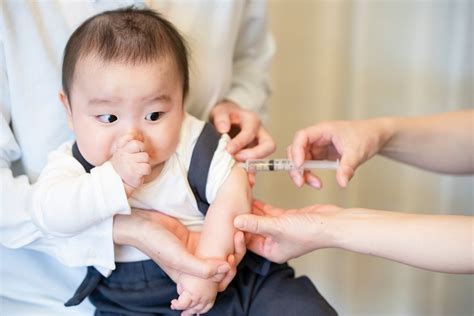 jenis  jadwal imunisasi dasar lengkap   dijalani anak
