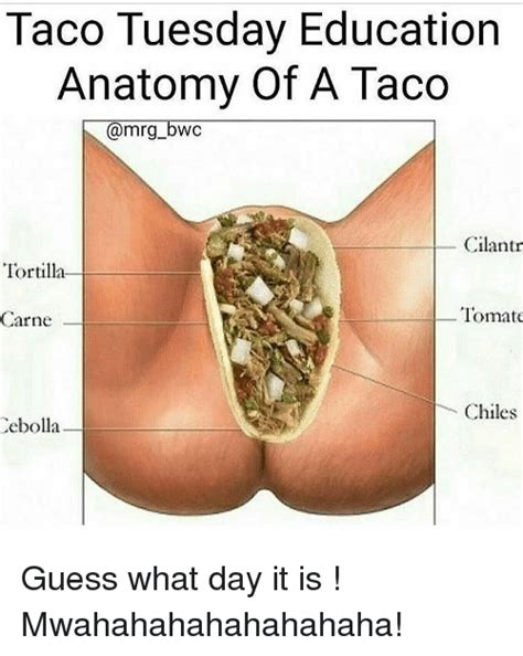 Search Funny Taco Tuesday Memes On Me Me