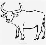 Ox Carabao Buffalo Gnu Carabaos Drawi Pinclipart Clipartmag Pngkit sketch template