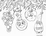 Sukkot Coloring Pages Printable Getcolorings Color sketch template