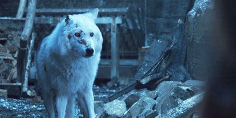 Jon Snow S Goodbye To Ghost Has Game Of Thrones Fans Furious