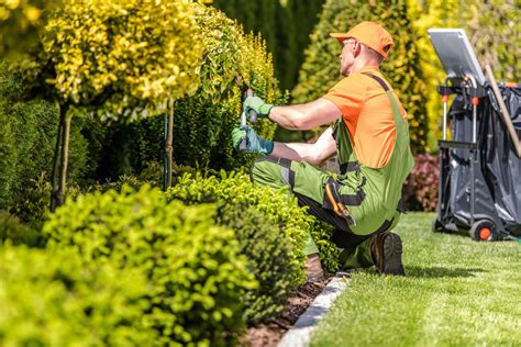 landscaping cost breaking   cost  maintenance