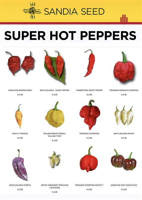 hottest peppers   world sandia seed company