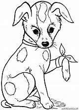 Hunde Ausmalbilder Von Dekoking Zum Ausmalen Ausdrucken Bilder Und Malvorlagen Kinder Kostenlose Mädchen Gemerkt Coloring Dog sketch template