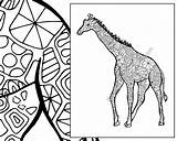 Zentangle Giraffe Svg sketch template