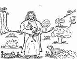 Jesus Animals Coloring Robin Pages Great Cuddles Lamb sketch template