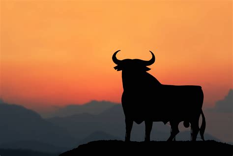 jahre osborne stier  spanien werbefigur und nationalsymbol