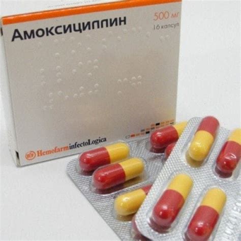 Antibacterial Medication Amoxicillin 500 Mg 16 Capsules