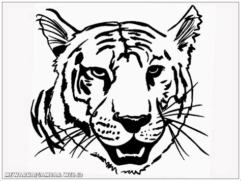 gambar animasi macan  modern  nyaman