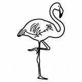 Flamingo Flamenco Flamingos Flamencos Dibujar Baixar Recursos Menta Educación Coloringp Imagui Clipartmag Motivo Niñas Disfrute Compartan Pretende sketch template