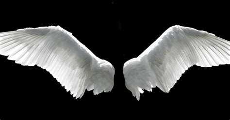 Christmas Crafts How To Make Angel Wings Netmums