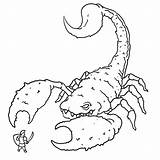 Scorpion Gigante Atacando Soldado Cachorro Escorpião Colorier Coloriages Tudodesenhos sketch template